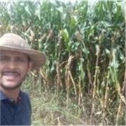 Professor de Matemática aulas online com eficiência