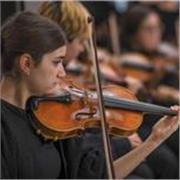 Doy clases de Violín para alumnos de iniciación en Elemental y Profesional