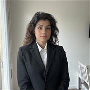 Laureata in ingegneria, offro lezioni in presenza di matematica