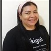 ingeniero de sistemas