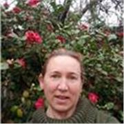 Profesora de inglés. Clases presenciales y on line