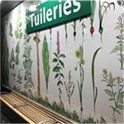 J’ai été étudiant à l’ENSBA de Paris, enseignant et réalisé notamment la station de métro des Tuileries 