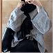 Professor of the English adapt to all classes and ages