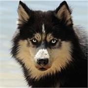 Deutsch für dich: klar, praktisch und mit Erfolg