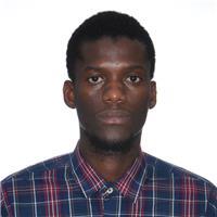 Profesor de idiomas para ninos y adultos