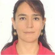 Clases para la elaboración de tesis y diseño de cursos en línea