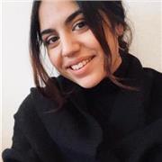 Geschichts- und Politiknachhilfe