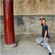 Istruttore di Shaolin Kung Fu e Shaolin Qi gong Terapeutico per lezioni private