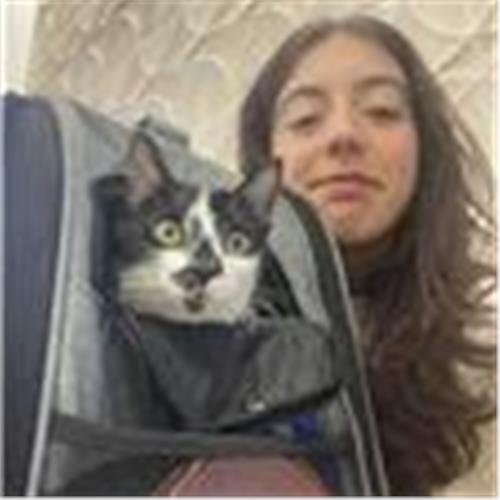 user photo