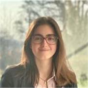 Maths tutor for all ages from primary school to GCSEs