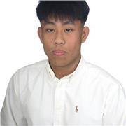 Profesor de inglés apto para todos los niveles