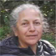 Maestra Waldorf con experiencia en infantil y profesora de Física.