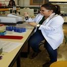 Academia en Baeza para Educación Primaria, Secundaria, Bachillerato y selectividad: Física y Química y Biología