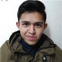 Profesor de física y matemáticas desde niños de primaria hasta preparatoria y primeros semestres de universidad