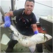 Exciting Biology lessons from an experienced teacher!