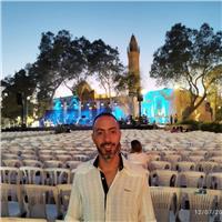 Historia, ciencias políticas y orientación de tésis con 20 años de experiencia