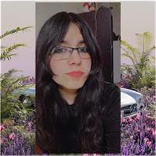 user photo