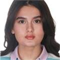 Yabancı ülkeye eğitimsel-sosyal adaptasyonda mentor, üniversite başvuru veya dil öğrenmede yönlendirme ve eğitim