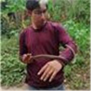 Se dictan tutorías en ciencias, matemáticas e idiomas. Clases didácticas y personalizadas para todas las edades