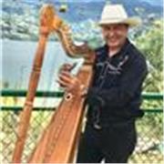 Profesor de arpa llanera enseñanza de todos los instrumentos en general