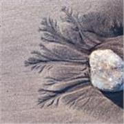 My strength is my ability to connect with the creative ideas of others'