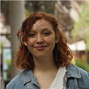 Clases particulares online y presenciales (solo en Santiago de chile)