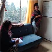 Clases virtuales de alemán. Profesional en lenguas modernas con más de 4 años de experiencia