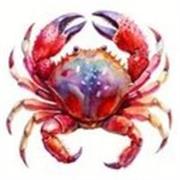 Profesor brinda clases de matemáticas básicas claras y personalizadas