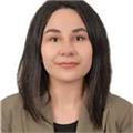 ortaokul kademesinde öğrencilere matematik