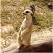 Soy maestra de vocación y mis clases son generalmente a niñas y niños de educación primaria.