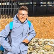 Tutor per fisica e meccanica per le scuole superiori