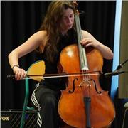 Cours de violoncelle, de théorie musicale ou d'histoire de la musique