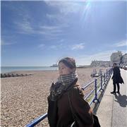 PhD-qualified Politics tutor offering online lessons from York for A-level, undergraduate, and Master’s students