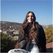 offro aiuto online o in presenza su firenze per aiuto compito o ripetizioni 