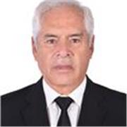 Experto en Metodología de la investigación y redacción científica