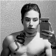 Clases Personalizadas de Gimnasio y Artes Marciales