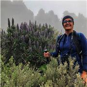 Profesor de clases particulares a Primaria, ESO, Bachillerato