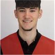 Profesor de Primario apto para cualquier nivel necesario