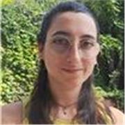 Do lezioni di italiano, latino, storia, geografia e storia del teatro