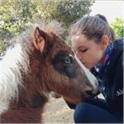 Sono laureanda in chimica e tecnologie farmaceutiche, offro lezioni di chimica e biologia per le scuole superiori