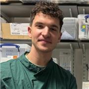 1st-Class MSci Graduate Biology Tutor 🧬 Making genetics & cell biology click for GCSE/A-Level/Uni students. Online UK-wide