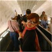 Englisch leicht gemacht, Unterricht für Schüler und Erwachsene