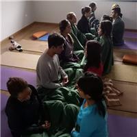 Profesor de Hatha Yoga integral