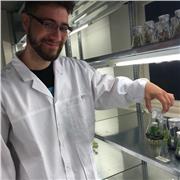 Mein Unterricht in Naturwissenschaften, deckt alle Fragen zu Biologie, Chemie oder Physik ab
