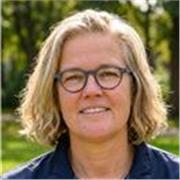 Professeur d'Anglais Natif avec 15 ans d'expérience : Cours Personnalisés, Conversation et Soutien Tous Niveaux