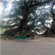 Turcuman