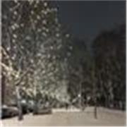 English tutor for kids and university students who need assistance 