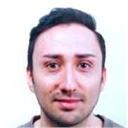 offro lezioni di violino sia per principianti che su livelli avanzati