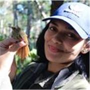 Aulas de biologia e ciências presenciais ou remotas