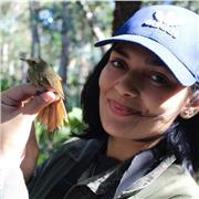 Aulas de biologia e ciências presenciais ou remotas